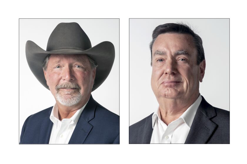 Steve Vaus and Joel Anderson are candidates for the San Diego County Board of Supervisors, District 2.
