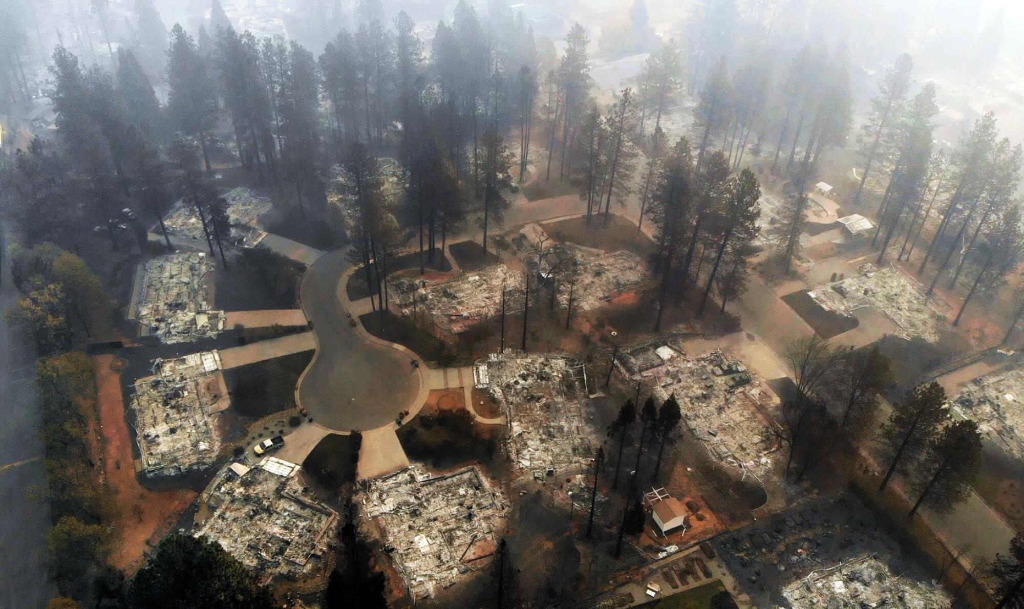Ash-covered foundations of incinerated homes ring a cul-de-sac lined by unburned pines.