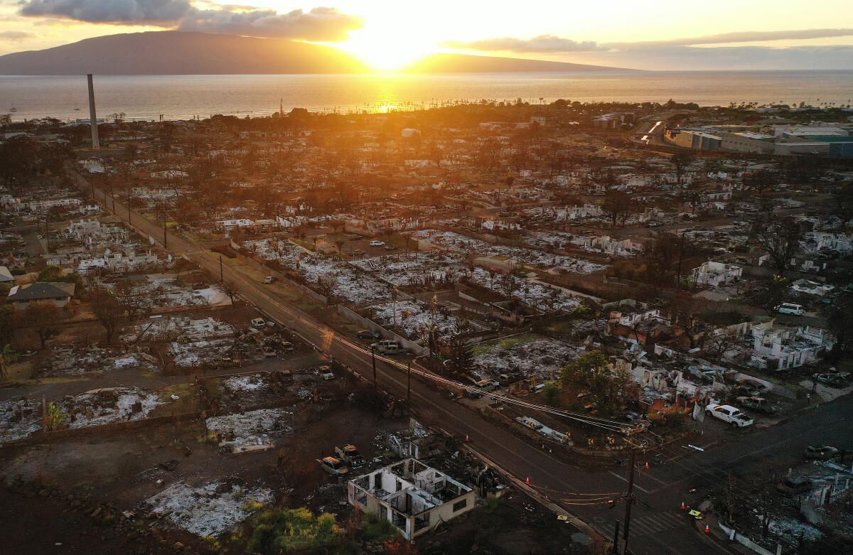 An aerial view of burned structures and cars in Lahaina two months after the town was devastated by wildfire.
