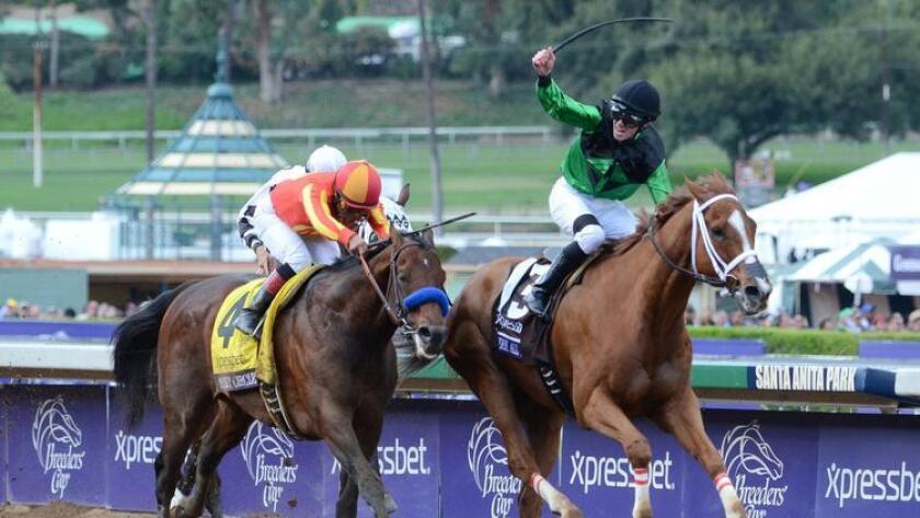 Secret Circle (outside) in the 2014 $1.5 million Xpressbet Breeders’ Cup Sprint by Work All Week. The event was held at Santa Anita Park in Arcadia.