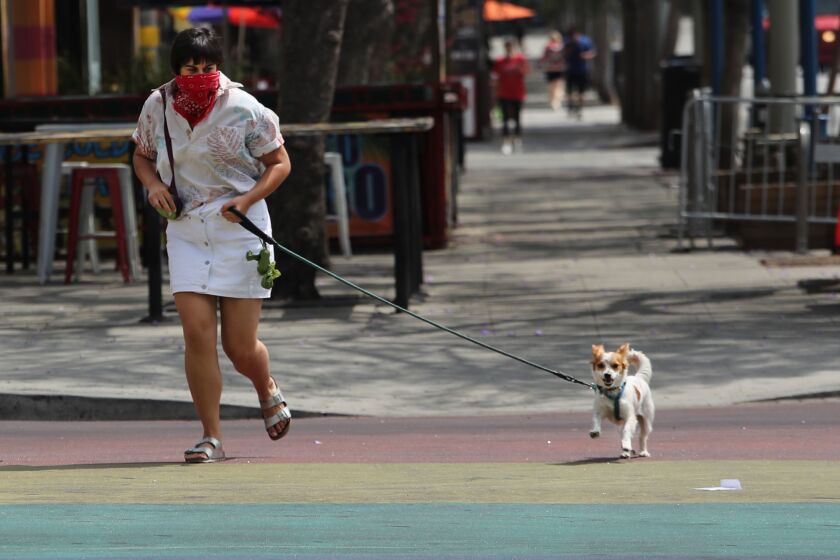 WEST HOLLYWOOD, CA - JULY 02: Alyssa Lesser of West Hollywood walks her dog Remy across the 'Rainbow Crosswalk' on Santa Monica Blvd. and San Vicente Blvd. on Thursday, July 2, 2020 in West Hollywood, CA. Los Angeles County Sheriff's deputies will issue citations for not wearing masks in public. (Brian van der Brug / Los Angeles Times)