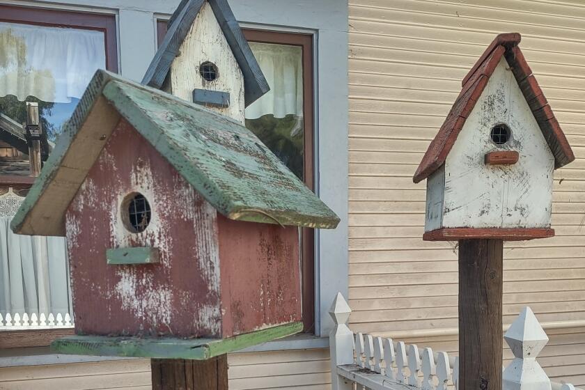 Chrildren accompanied by adults are invited to build and decorate a bird house at 2 p.m. Sunday, April 7 at Poway Library.