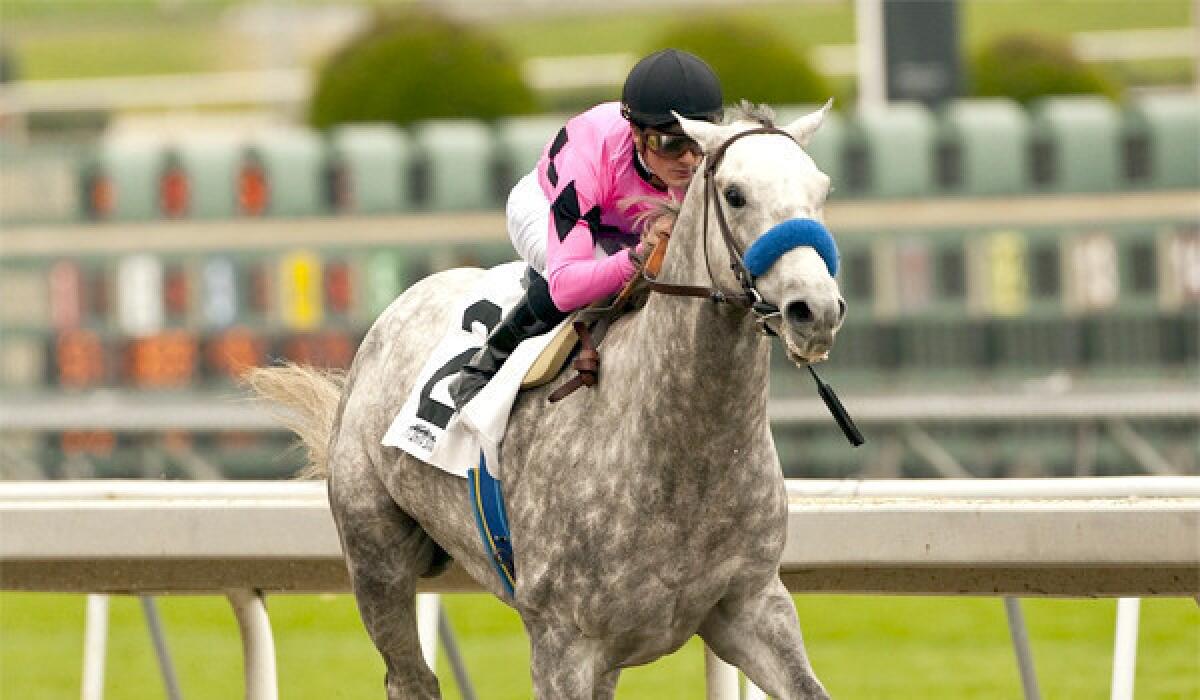 Flashback, another horse trained by Bob Baffert, is a 9-5 favorite for the $750,000 Santa Anita Derby on Saturday.