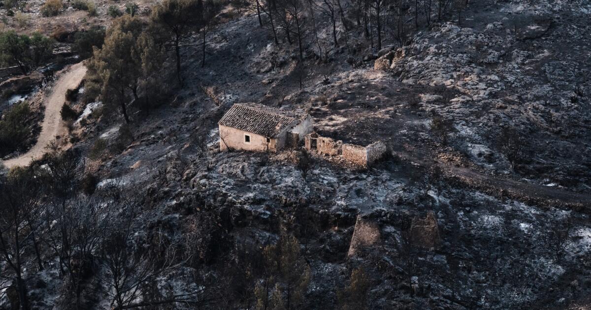 Des centaines de pompiers luttent contre un incendie de forêt dans le sud de l’Espagne qui a tué au moins 12 personnes.