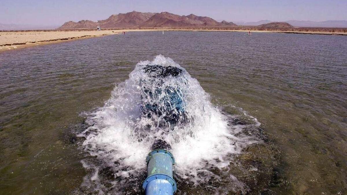 Well water bubbles into a spreading basin pool on land owned by Cadiz Inc. in the Mojave Desert on Aug. 13, 2012.