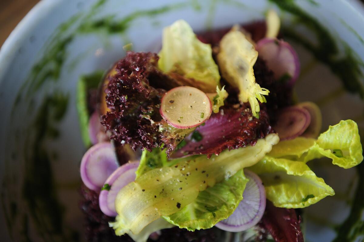 The Otium garden salad.