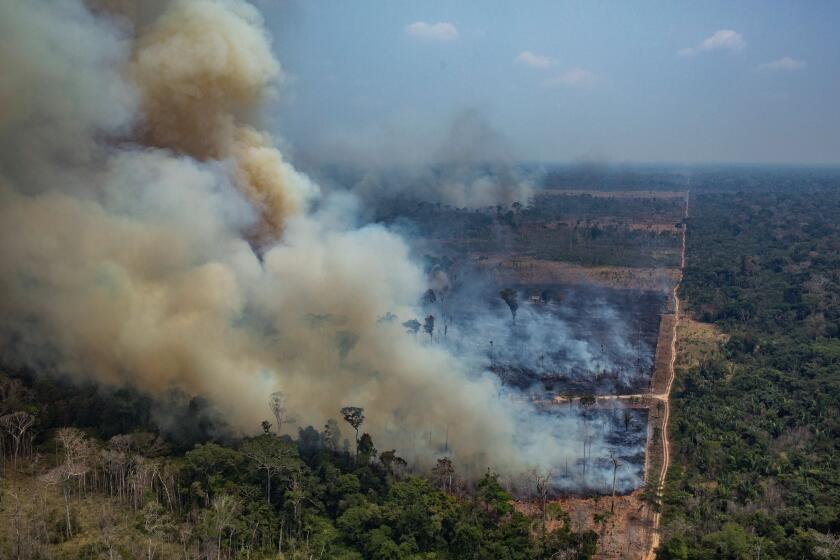 Handout aerial picture released by Greenpeace showing smoke billowing from forest fires in the municipality of Candeias do Jamari, close to Porto Velho in Rondonia State, in the Amazon basin in northwestern Brazil, on August 24, 2019. (Photo by Victor MORIYAMA / GREENPEACE / AFP) / RESTRICTED TO EDITORIAL USE - MANDATORY CREDIT "AFP PHOTO / GREENPEACE / VICTOR MORIYAMA" - NO MARKETING - NO ADVERTISING CAMPAIGNS - NO RESALE - NO ARCHIVE - IMAGE AVAILABLE FOR PUBLICATION AND DOWNLOAD UNTIL 09.09.2019 - DISTRIBUTED AS A SERVICE TO CLIENTS / VICTOR MORIYAMA/AFP/Getty Images ** OUTS - ELSENT, FPG, CM - OUTS * NM, PH, VA if sourced by CT, LA or MoD **