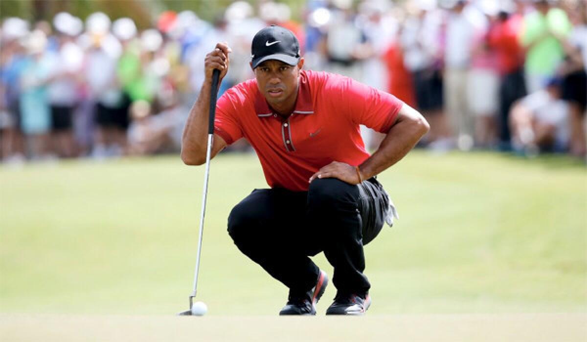 Tiger Woods underwent a microdisectomy in Park City, Utah which will require several weeks of rehabilitation and will keep him out of the Masters, which begins next week.