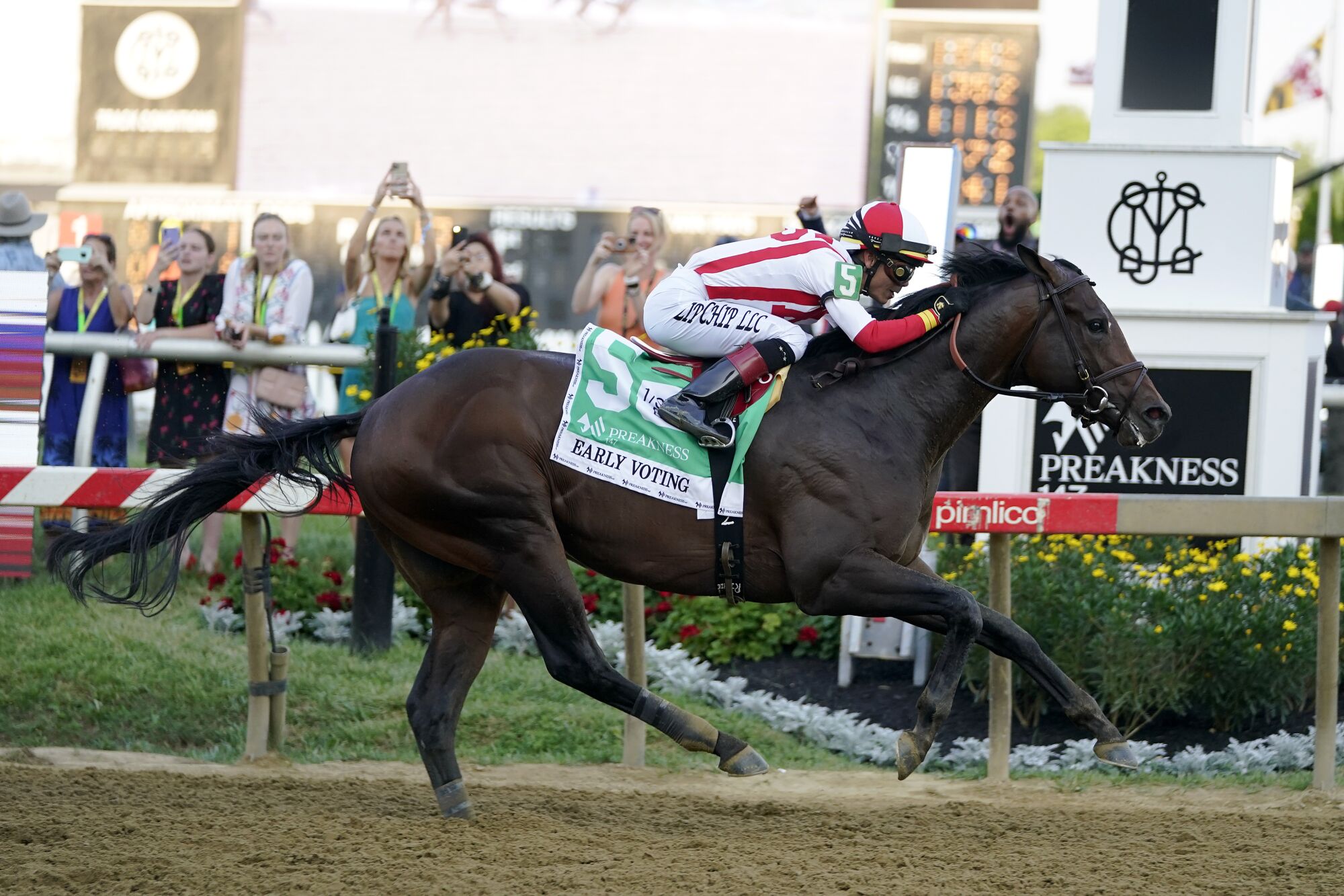 Jose Ortiz atop Early Voting wins the 147th running of the Preakness Stakes