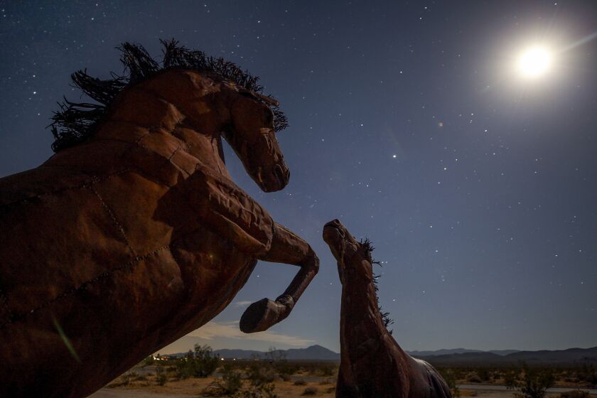 Metal sculptures of horses, one of several sculptures in the Borrego Springs area, under the moonlight on Thursday, July 11, 2019 in Borrego Springs, California.