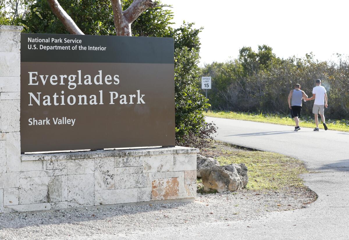 FILE - Visitors walk past a sign for Everglades National Park as they enter from overflow parking, Wednesday, Jan. 2, 2019, in Everglades National Park, Fla. Officials say a man visiting the Florida Everglades is recovering after being bitten by a crocodile after falling off a boat. The National Park Service says the attack occurred Sunday, March 10, 2024 at the Flamingo Marina in Everglades National Park. (AP Photo/Wilfredo Lee)