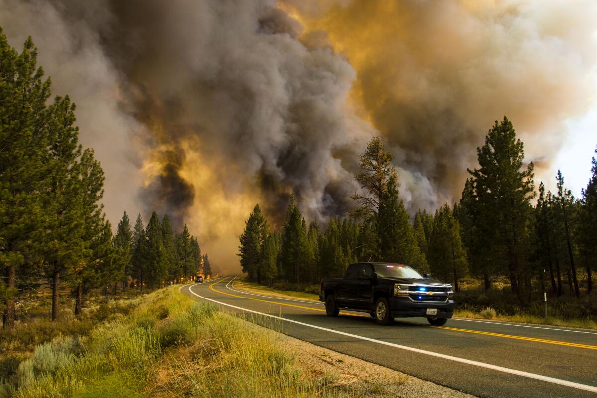 A truck drives down a road lined with trees as smoke and fire burn in the background