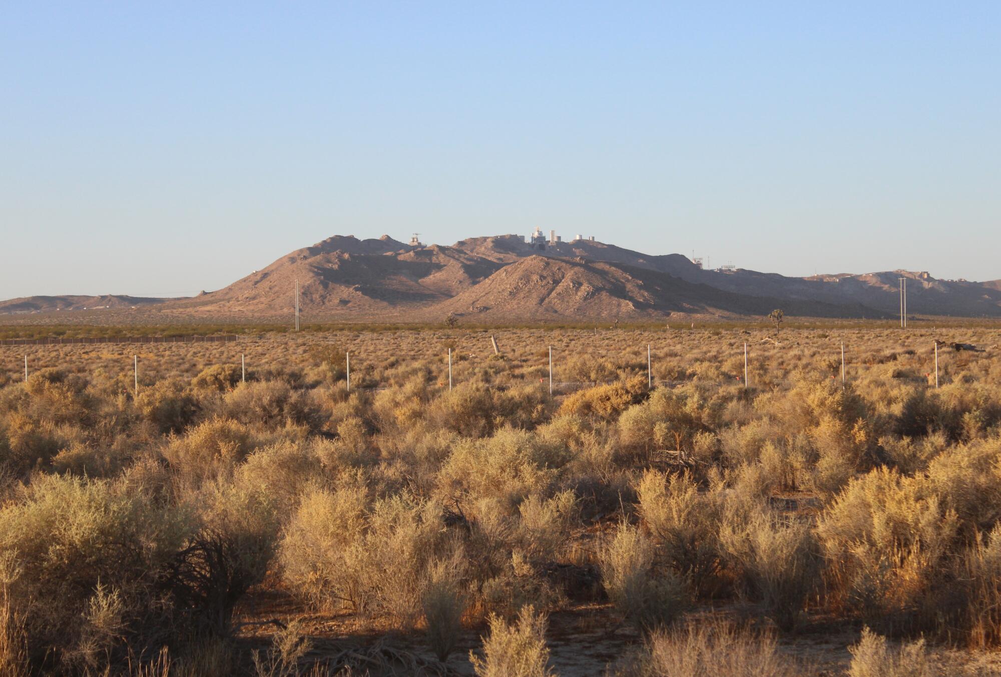 A desert landscape devoid of Joshua trees. 