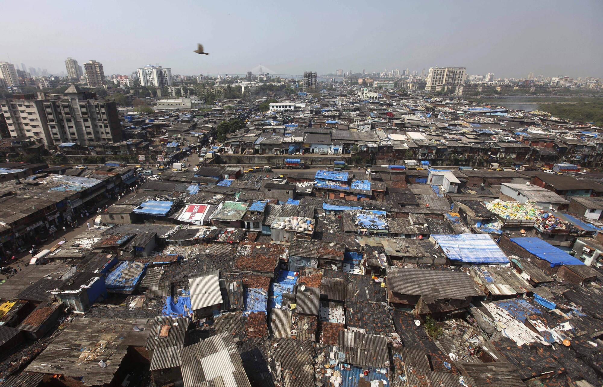 A bird flies over Dharavi, one of Asia's largest slums, in Mumbai, India.