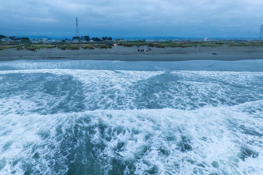 Earthquake tsunami eureka Earthquake tsunami eureka