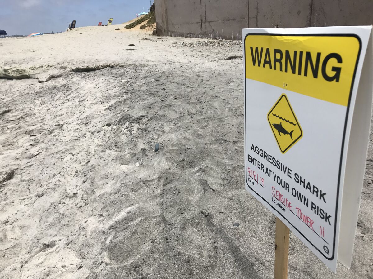 Warning signs posted along North County beaches after shark ...
