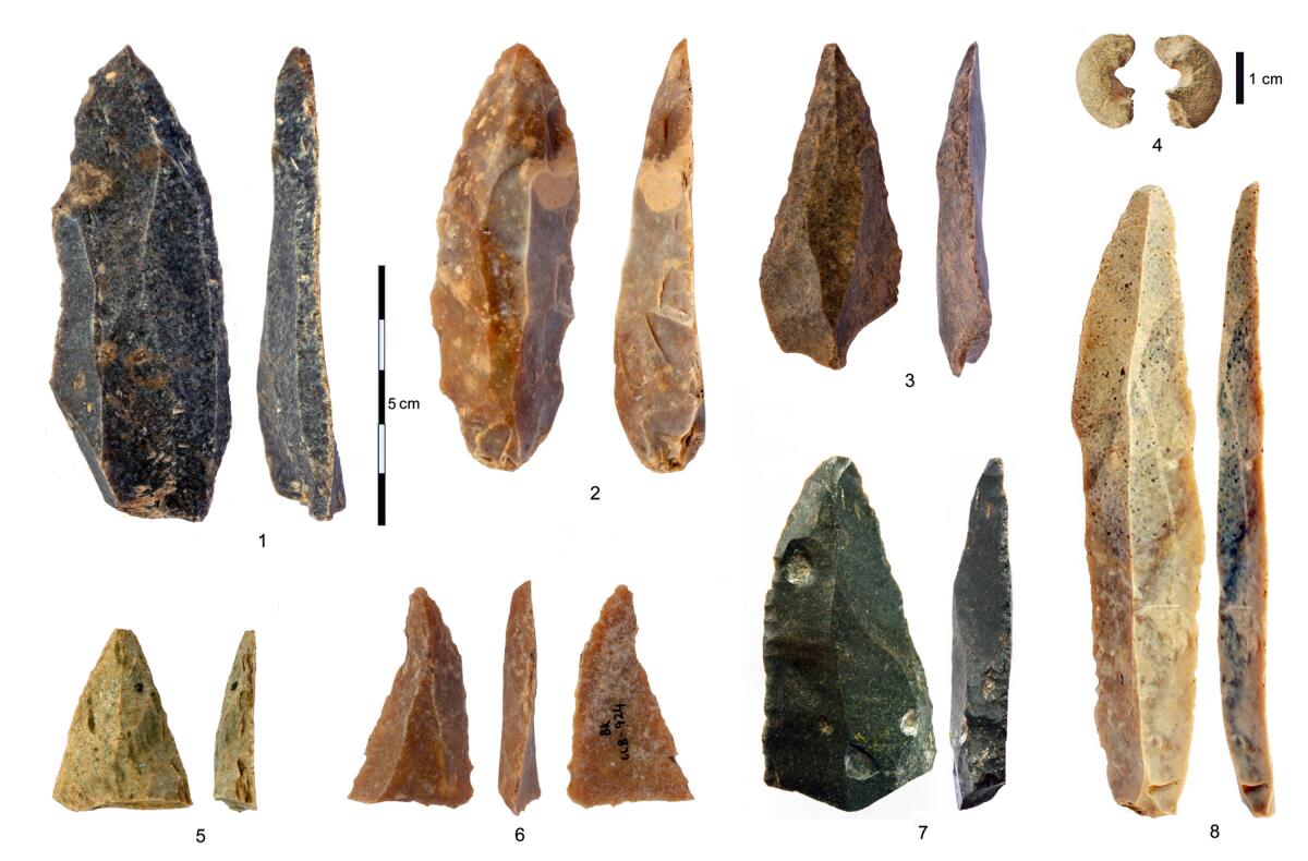 These stone artifacts were discovered in the Bacho Kiro cave in Bulgaria. Homo sapiens bones found in the cave date back to as far as 46,000 years ago, which is thousands of years earlier than previous human fossils in Europe.