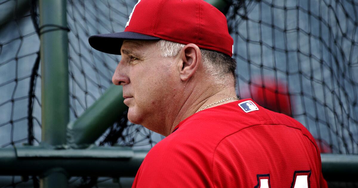 Mike Scioscia defies the odds to make Los Angeles Angels contenders again –  Daily News