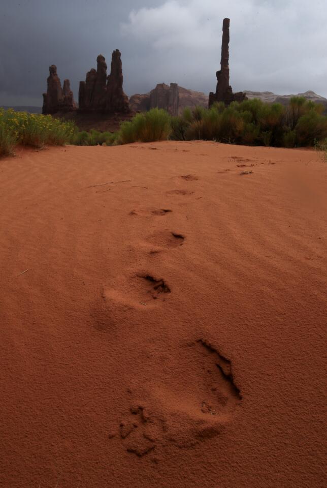 Monument Valley