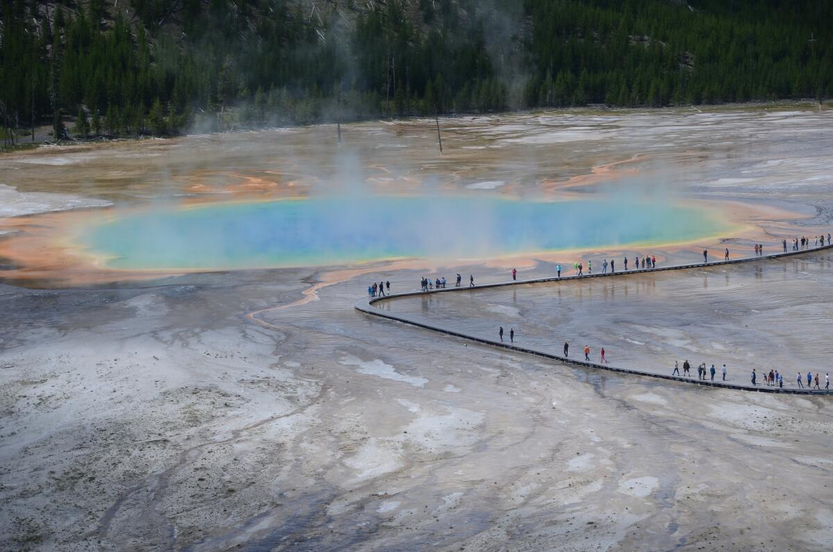 If you hike up the neighboring hillside, you get this view of Grand Prismatic Spring in Yellowstone National Park.