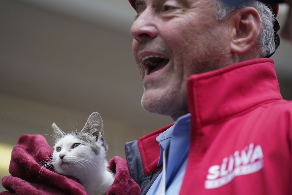 Mayoral candidate Curtis Sliwa talks to reporters with a rescue cat named Gizmo after voting in New York, Tuesday, Nov. 2, 2021. (AP Photo/Seth Wenig)