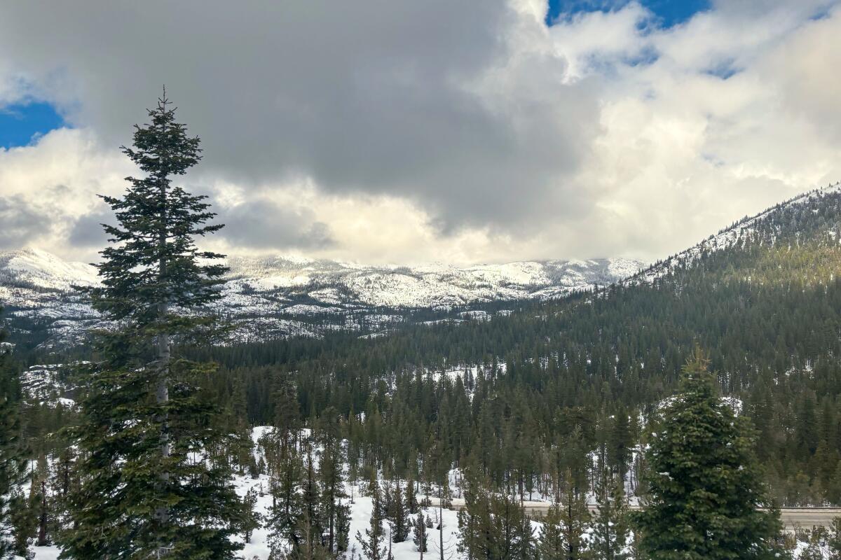Snow on top of a mountain with trees and clouds above