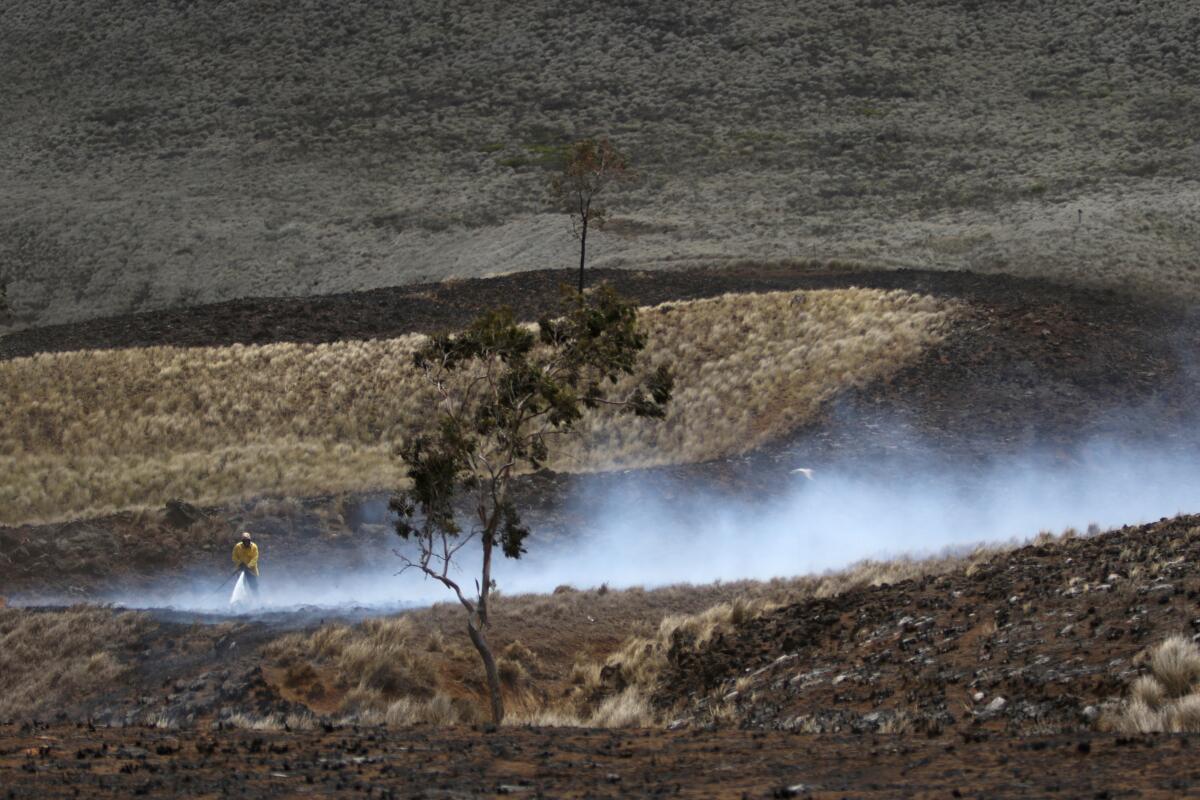A Big Island firefighter puts out a blaze near Waimea, Hawaii, on Thursday, Aug. 5, 2021. The area was scorched by the state's largest ever wildfire. Experts say wildfires in the Pacific islands are becoming larger and more common as drought conditions increase along with climate change. (AP Photo/Caleb Jones)