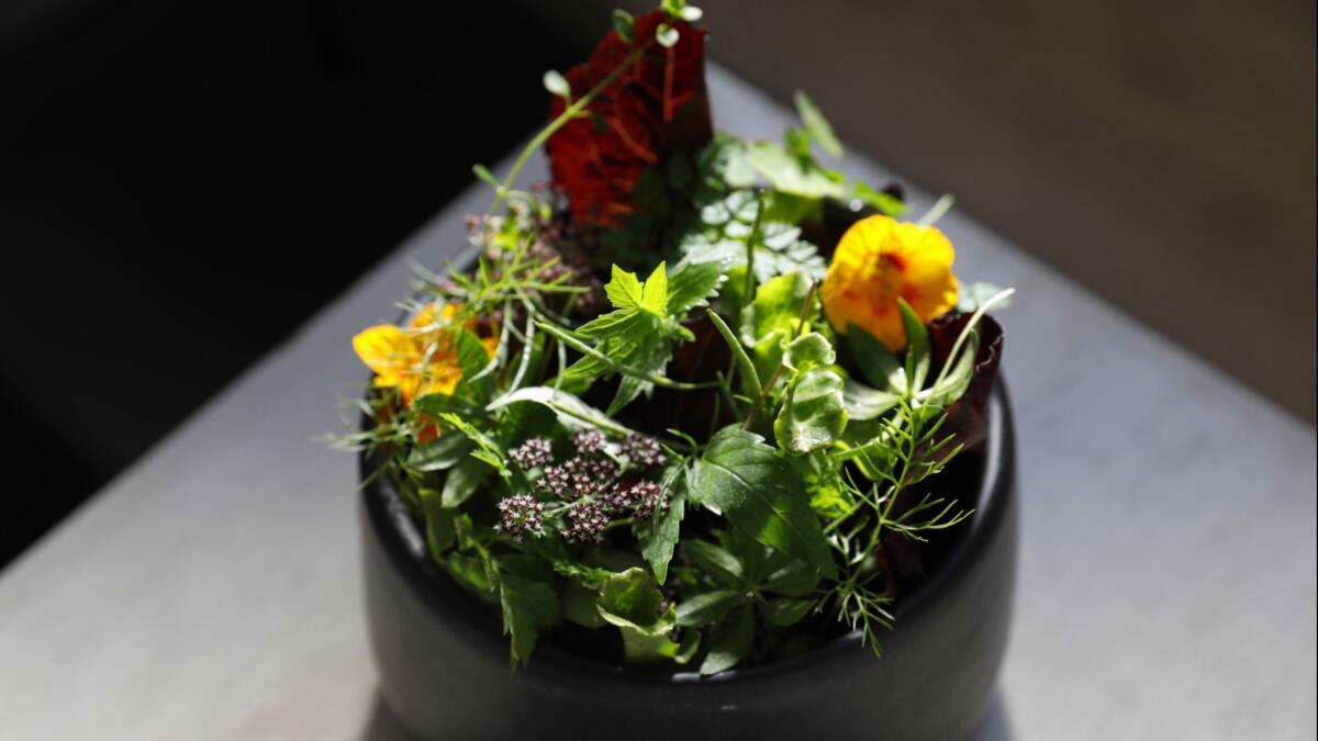 Young lettuces, buttermilk, pistachio, and radish served at Destroyer in Culver City.