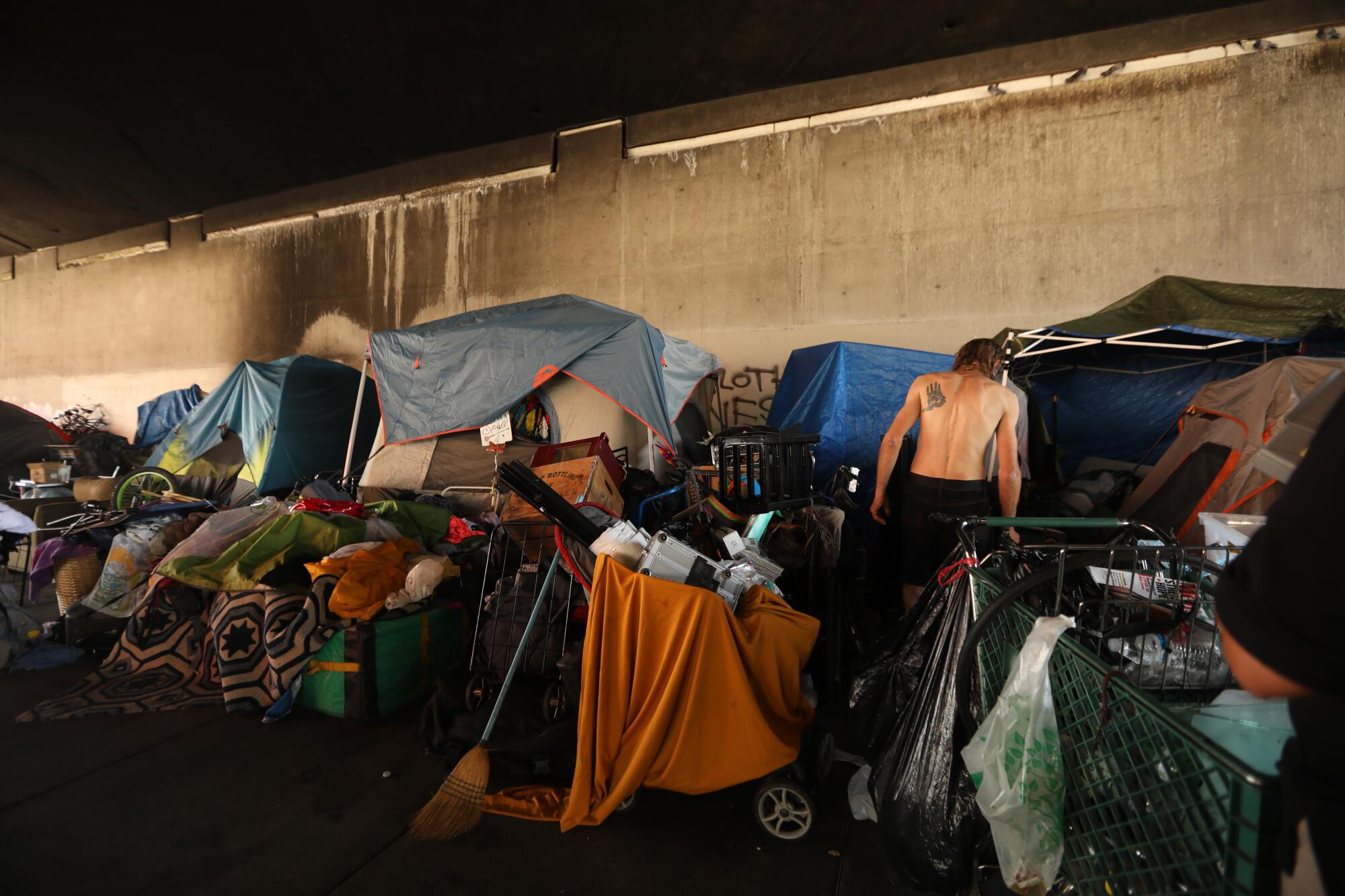 A homeless encampment under the 134 Freeway in North Hollywood.
