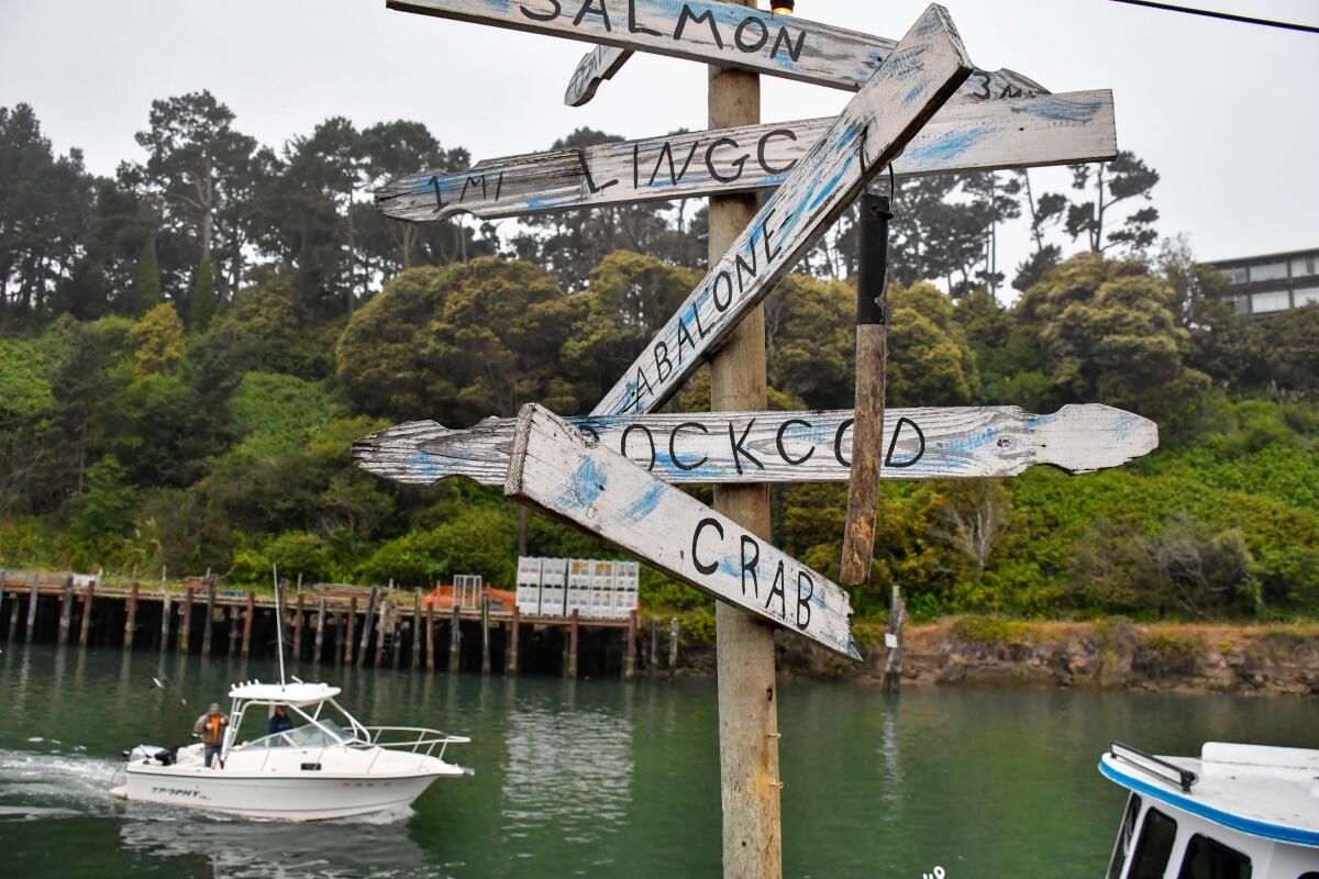 A signpost at Noyo Harbor indicates different types of fish and seafood.