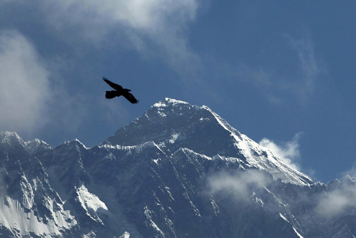 FILE - A bird flies with Mount Everest seen in the background from Namche Bajar, Solukhumbu district, Nepal, May 27, 2019. As the mountaineering community prepare to celebrate the 70 anniversary of the conquest of Mount Everest, there is rising concern about the glacier and snow is melting, the temperature is rising and weather is getting harsh and unpredictable on world's highest mountain. (AP Photo/Niranjan Shrestha, File)
