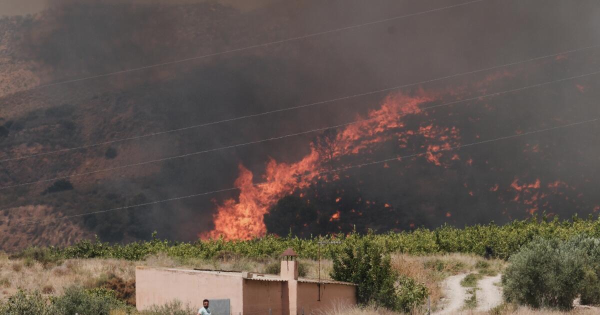 L’un des incendies de forêt les plus meurtriers d’Espagne a tué au moins 12 personnes et fait 23 disparus.