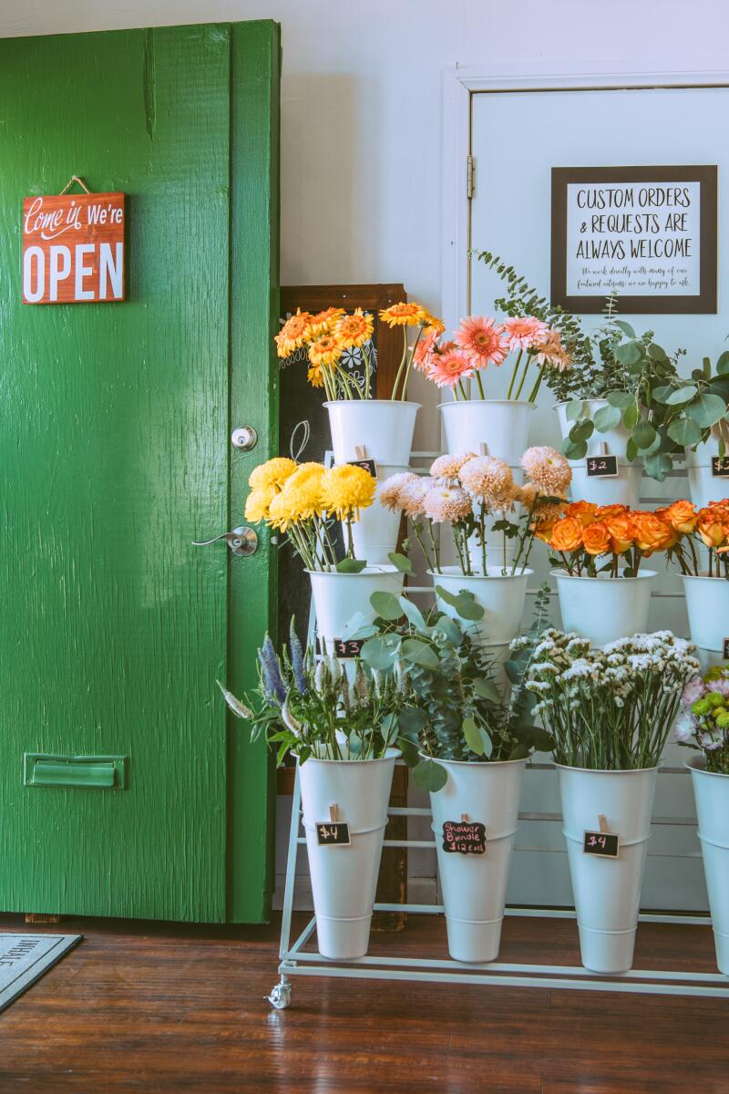 Flowers for sale in a plant shop.