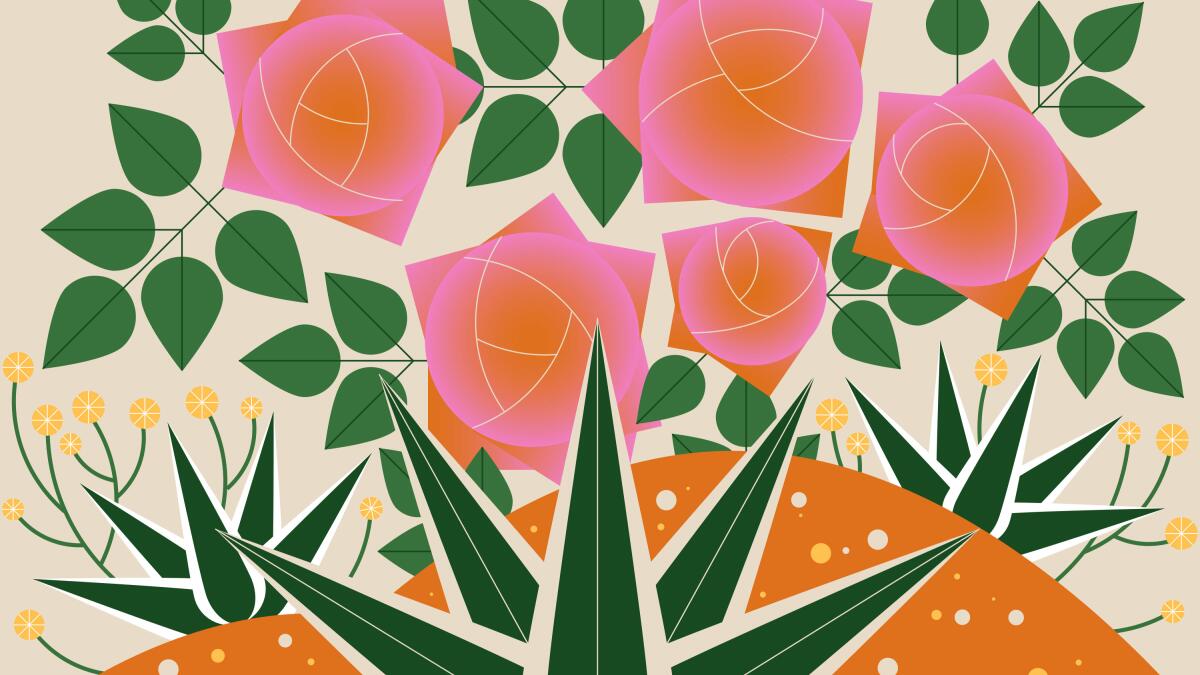 Colorful tulip display at Franklin Tulip Festival 2025