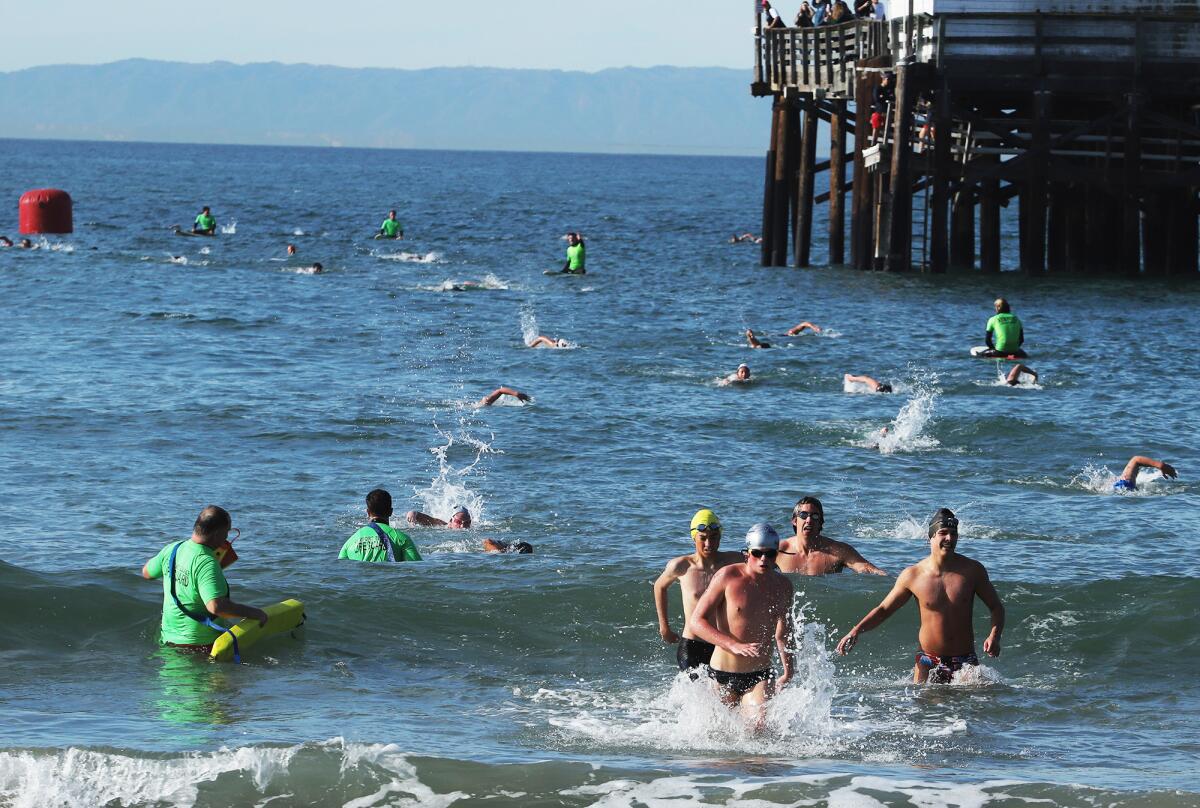 Prospective lifeguards swim and run to the finish line as they compete in the 1000 meter swim.
