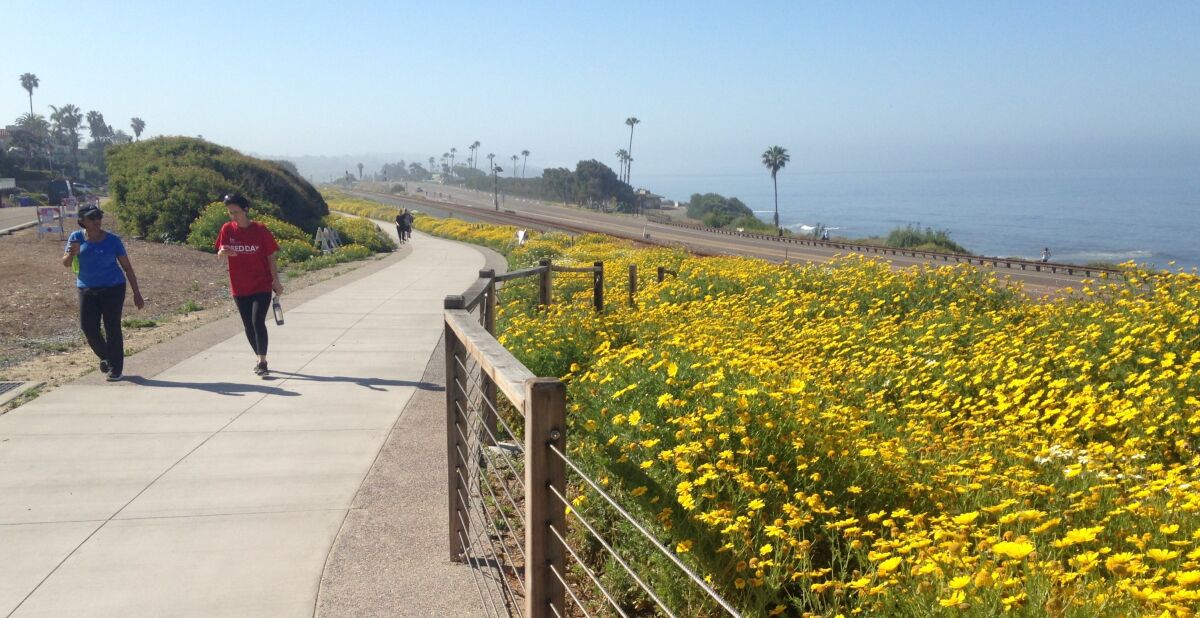 Encinitas completed a 1.3-mile segment of the Coastal Rail Trail for bikers and hikers in 2019.