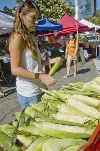 Summer-fresh corn