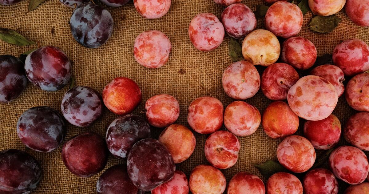 Une parfaite salade de fruits d’été
