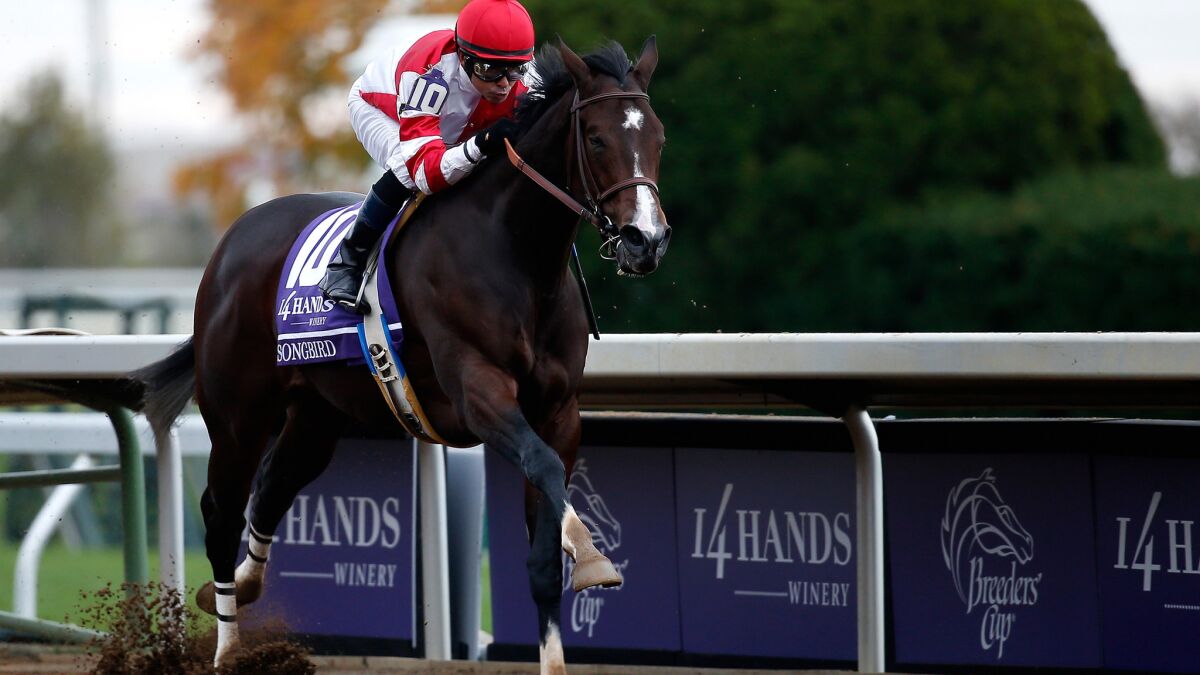 Jockey Mike Smith rides Songbird to the win in the Breeders' Cup Juvenile Fillies at Keeneland Racecourse on Saturday.