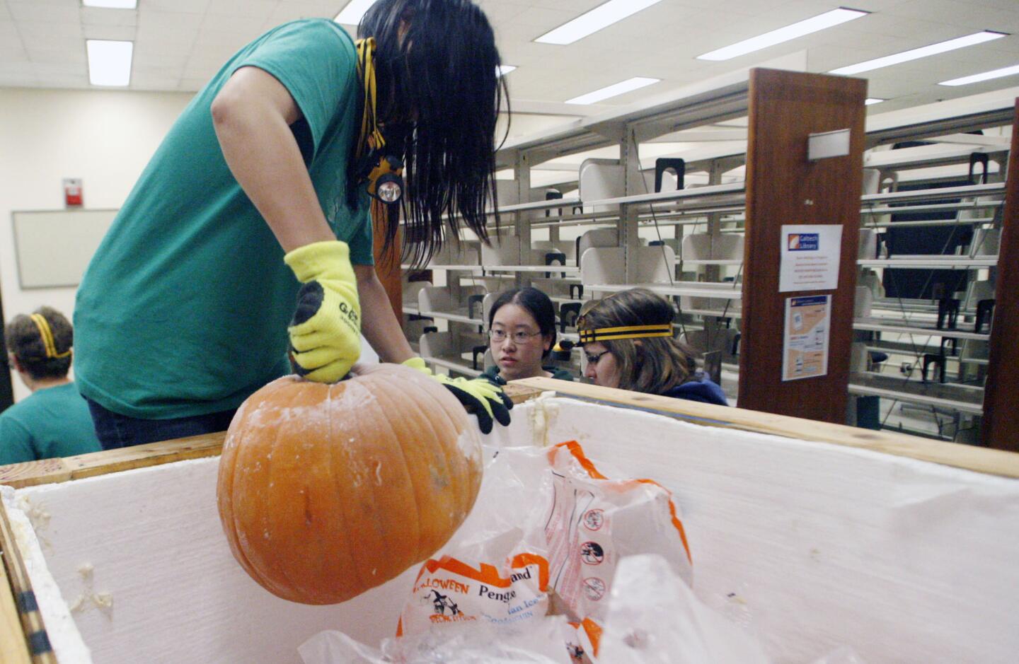 Jade Yan, from second left, Jomya Lei ad Rachel Gates unload over 400 pumpkins during Caltech's Annual Halloween Pumpkin drop, which took place at the Caltech's Millikan Library in Pasadena on Wednesday, October 31, 2012.
