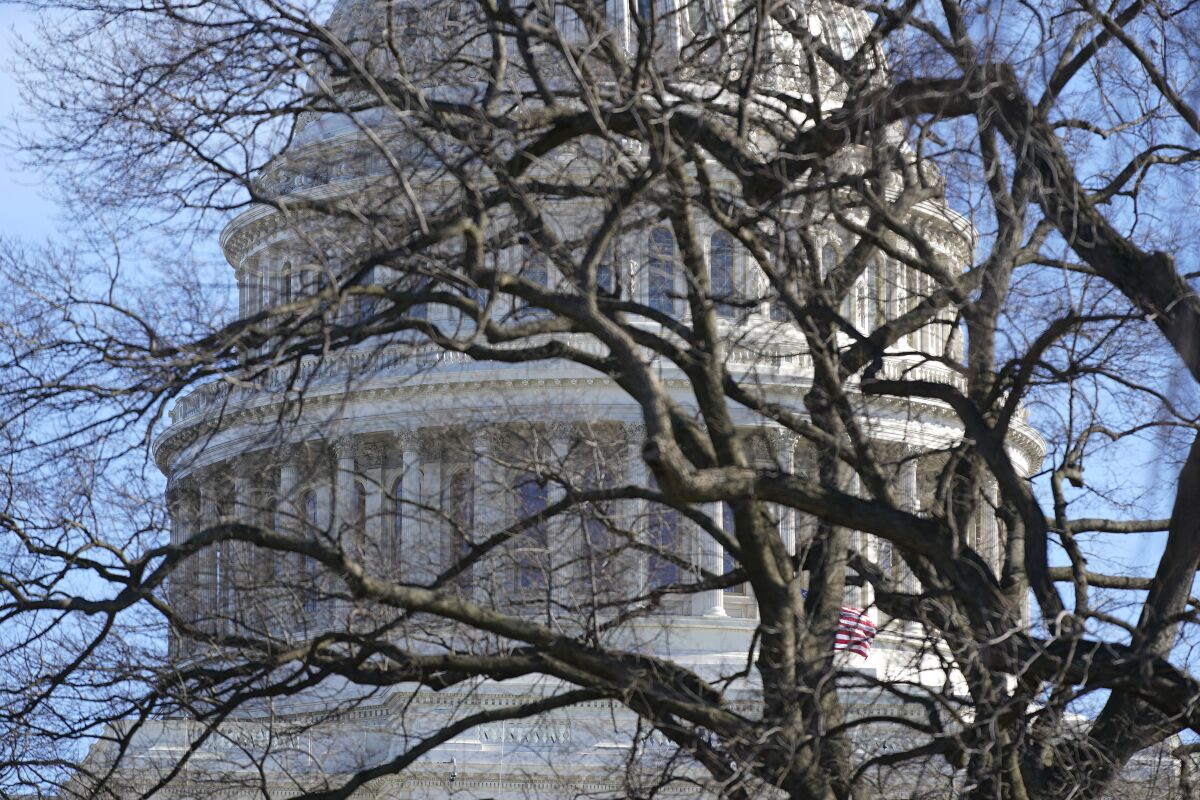 The U.S. Capitol dome, with bare branches in the foreground.