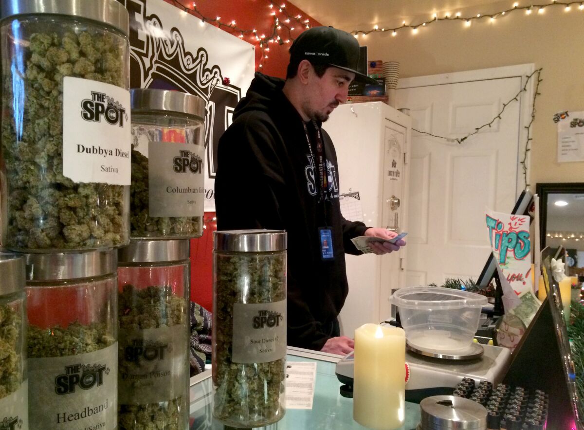 Matt Beizaee, an employee of the Spot 420, a recreational marijuana dispensary in Pueblo West, Colo.