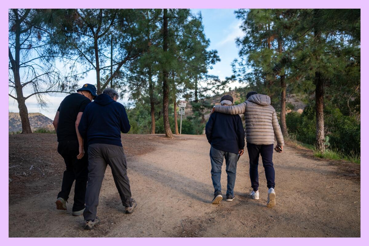 Four people walking together in a wooded park 