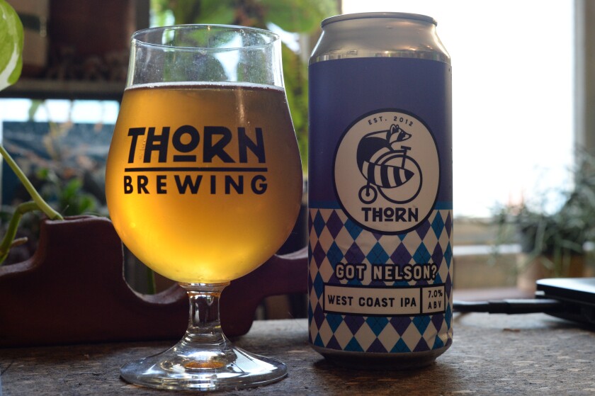 Got Nelson? is a West Coast IPA from Thorn Brewing