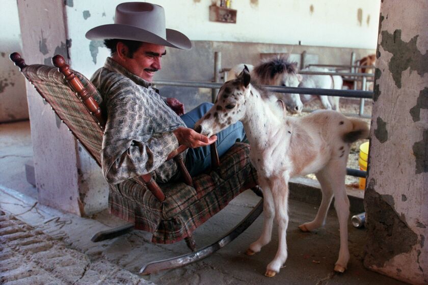 Vicente Fernandez sits in his favorite rocking chair in a barn for newborn miniature horses