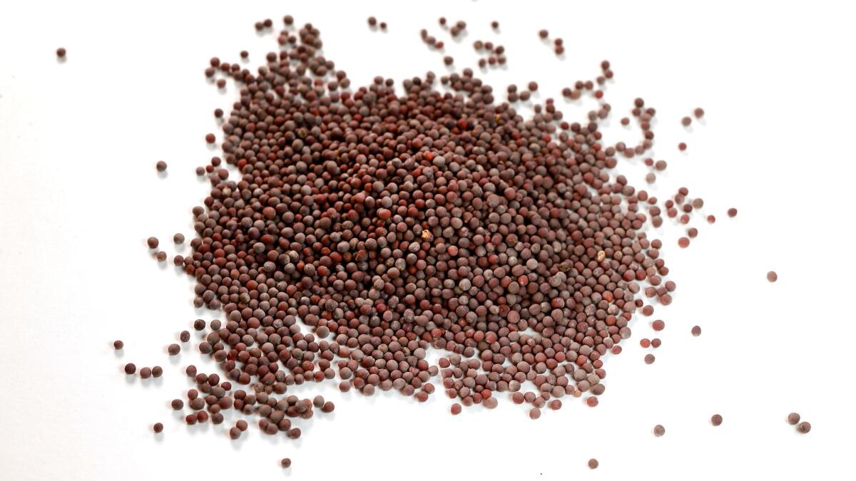 Black mustard seeds.