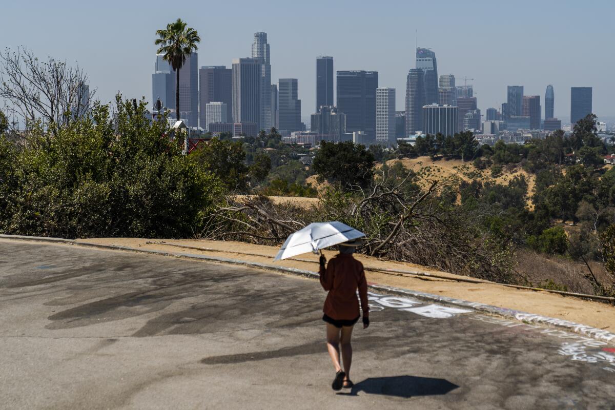 A person walks while holding an umbrella. At a distance is a city skyline.