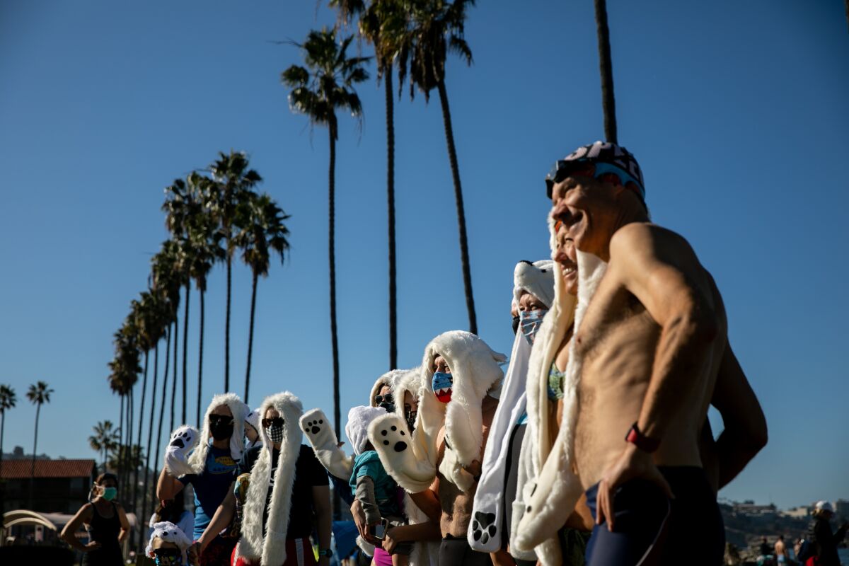 Friends take part in an unofficial polar bear plunge at La Jolla Shores
