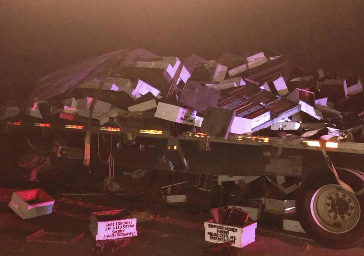 Los restos de un camión de carga con remolque que transportaba colmenas y se accidentó en la carretera Interstatal 80 en Auburn, California.