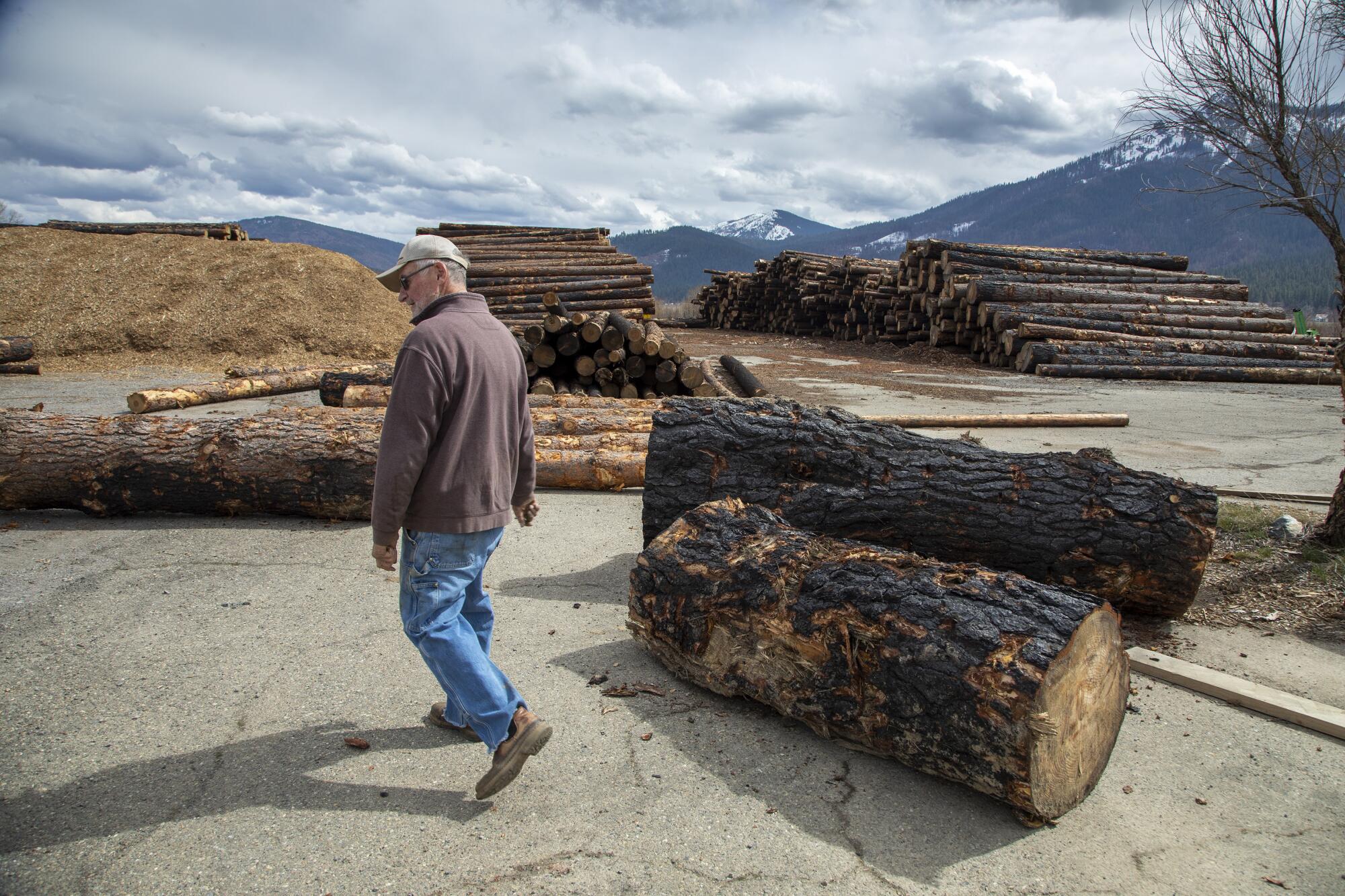 Randy Pew walks among logs at a sawmill.